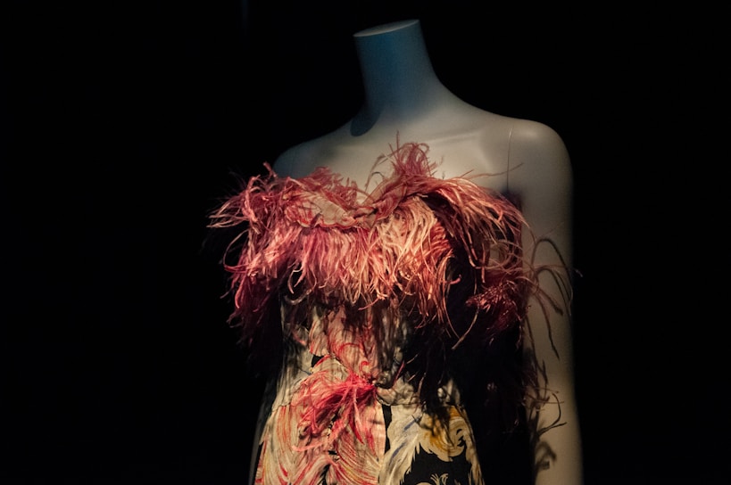 A mannequin stands against a dark background, showcasing a garment adorned with pink feathers and intricate floral designs. The lighting highlights the texture and colors of the fabric, creating a striking contrast between the luminous dress and the shadowy surroundings.