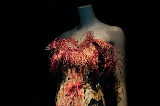 A mannequin stands against a dark background, showcasing a garment adorned with pink feathers and intricate floral designs. The lighting highlights the texture and colors of the fabric, creating a striking contrast between the luminous dress and the shadowy surroundings.