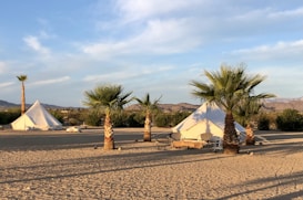 A desert landscape with two white teepee tents set up among several palm trees. The ground is sandy, and the sky is mostly clear with a few clouds. Some outdoor chairs and tables are arranged near the tents. Low hills or mountains are visible in the distance.