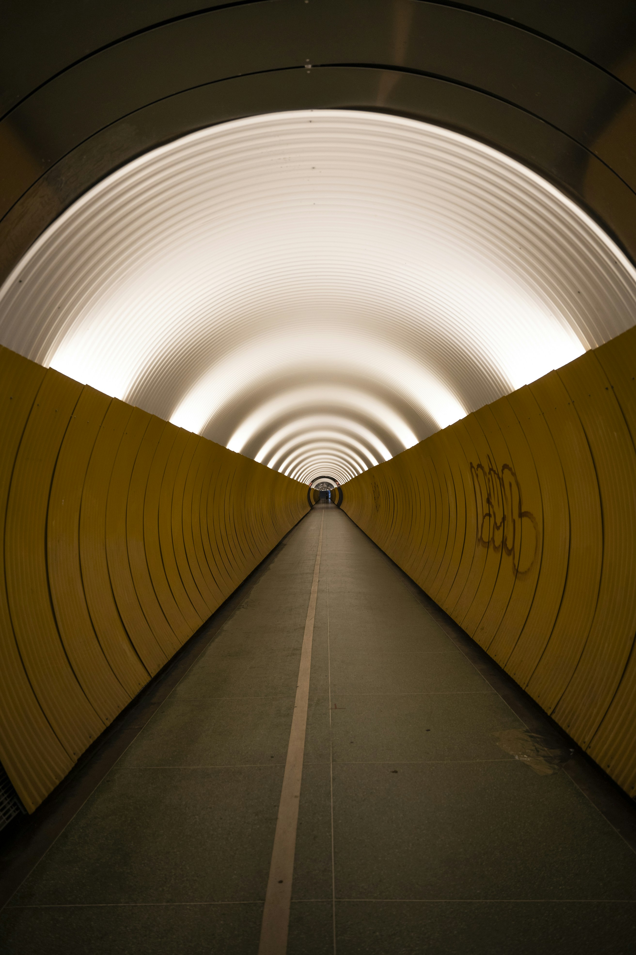 Photo by davidemrich