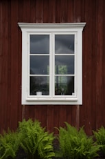 white wooden framed glass window