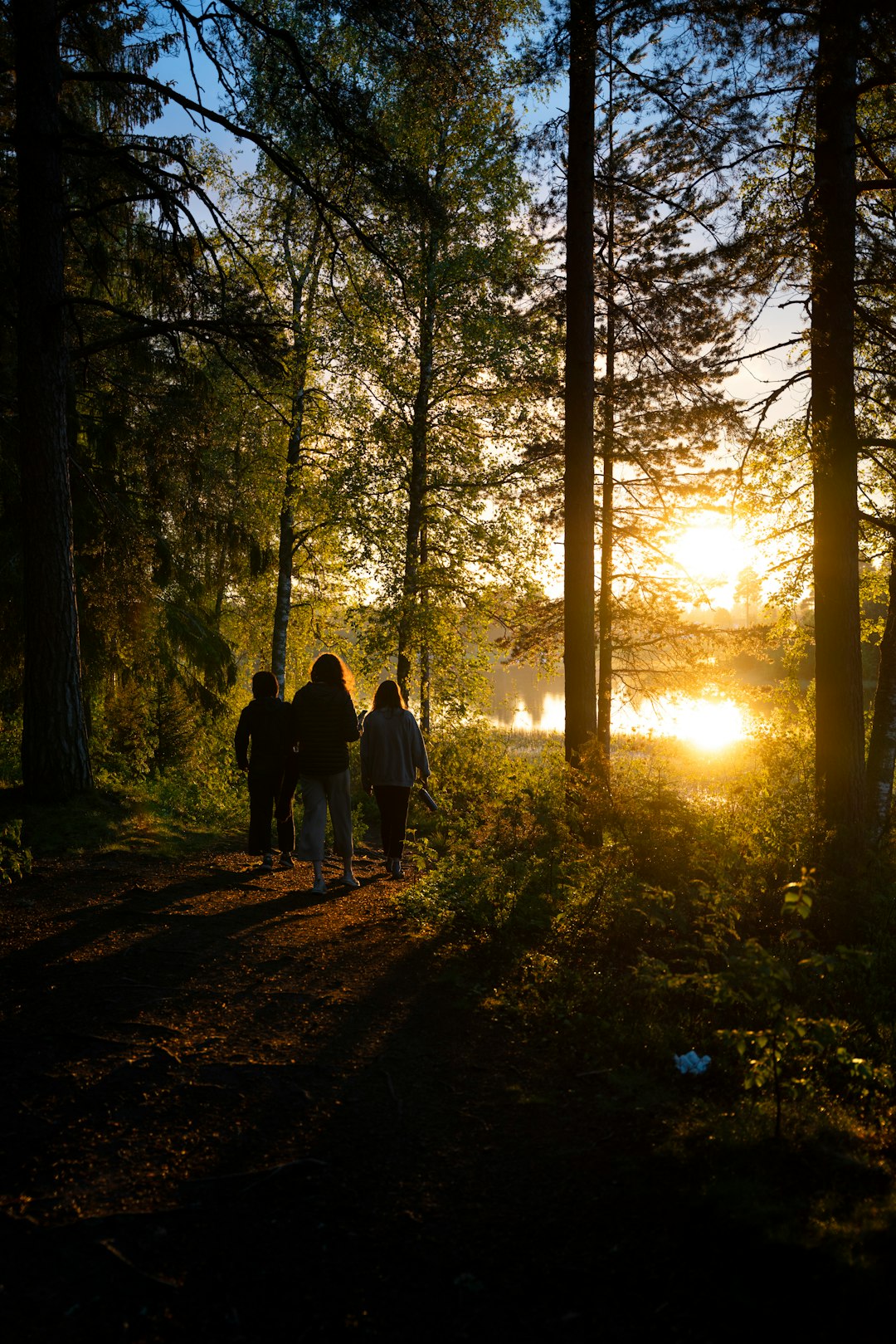 people walking on forest during daytime