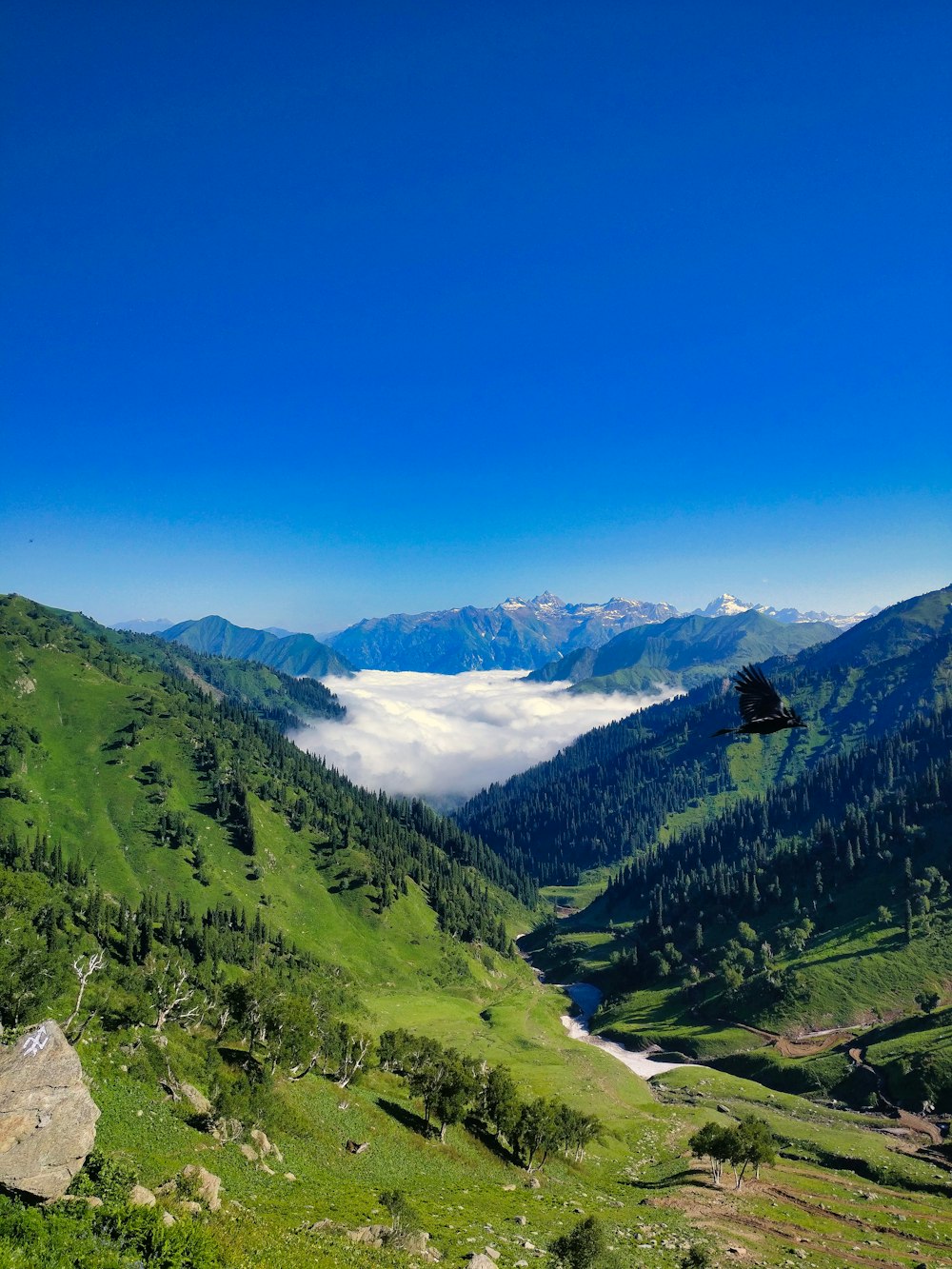 Montañas verdes bajo el cielo azul durante el día