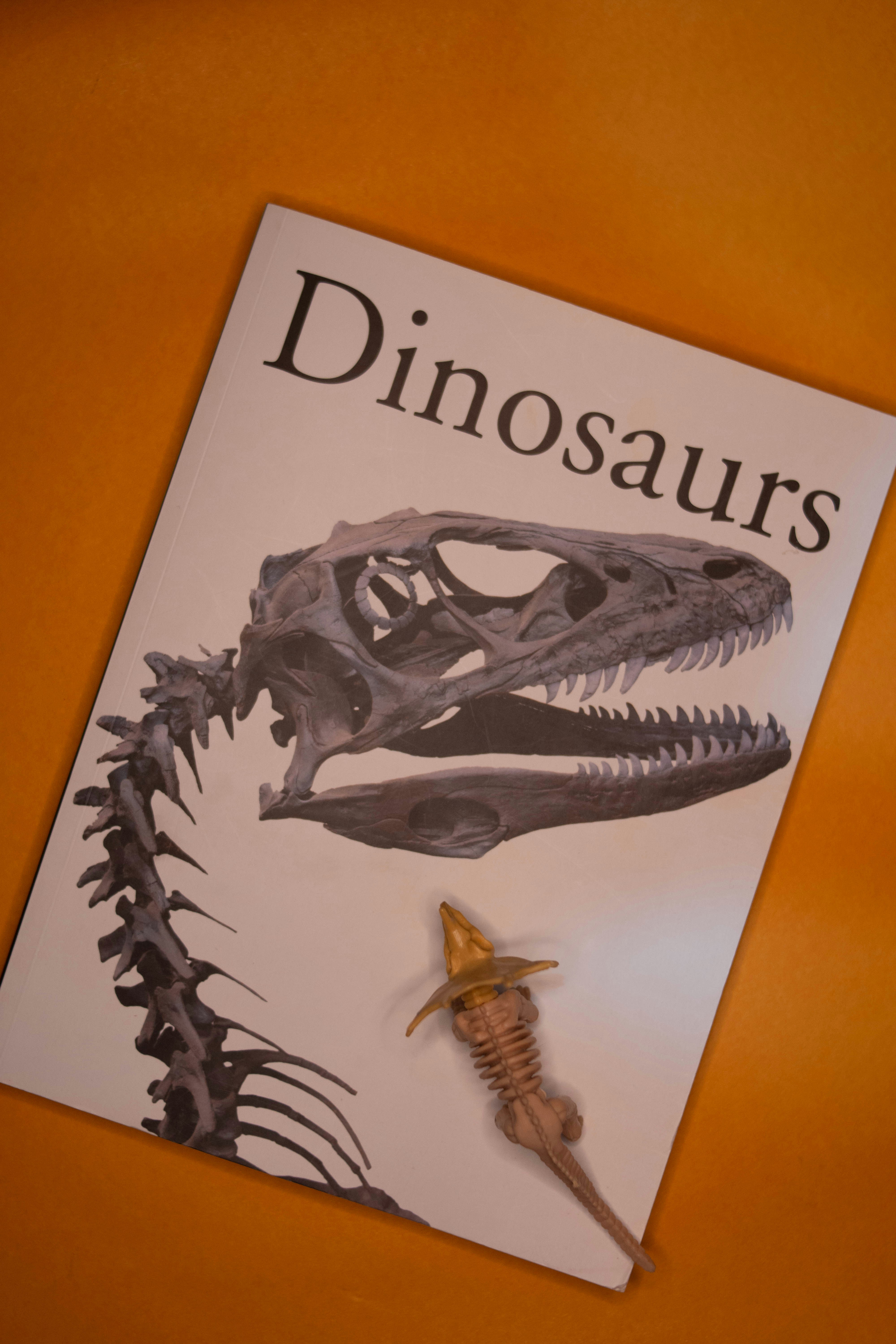 woman wearing yellow long-sleeved dress under white clouds and blue sky during daytime