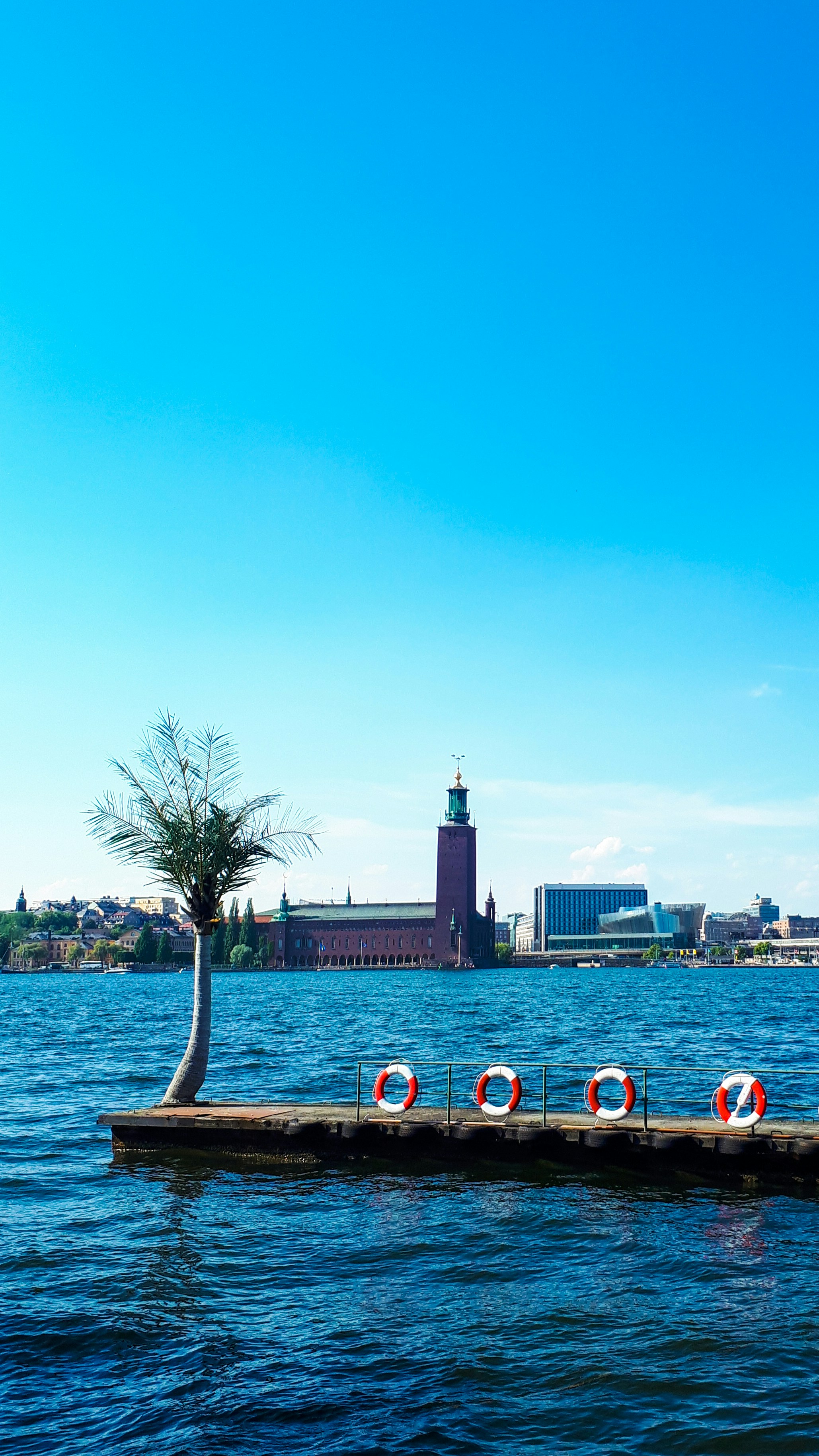 Menschen in Strandnähe in der Nähe von Gewässern während des Tages