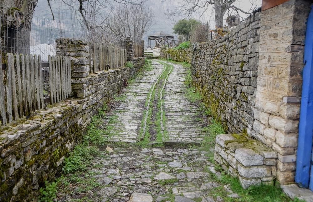 green grass on gray concrete brick wall