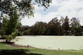 green grass field near lake during daytime