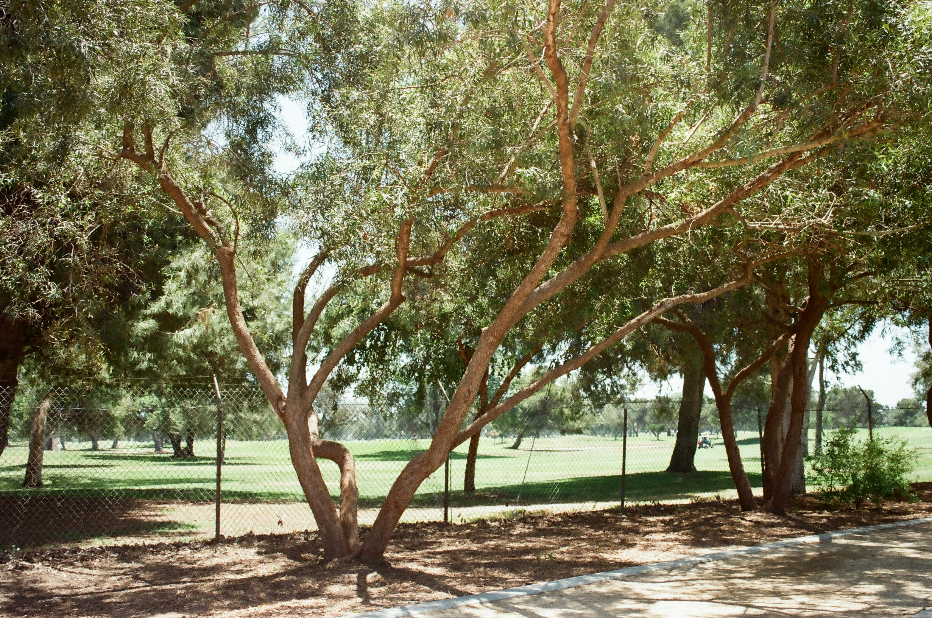 Photo by bestraan0712