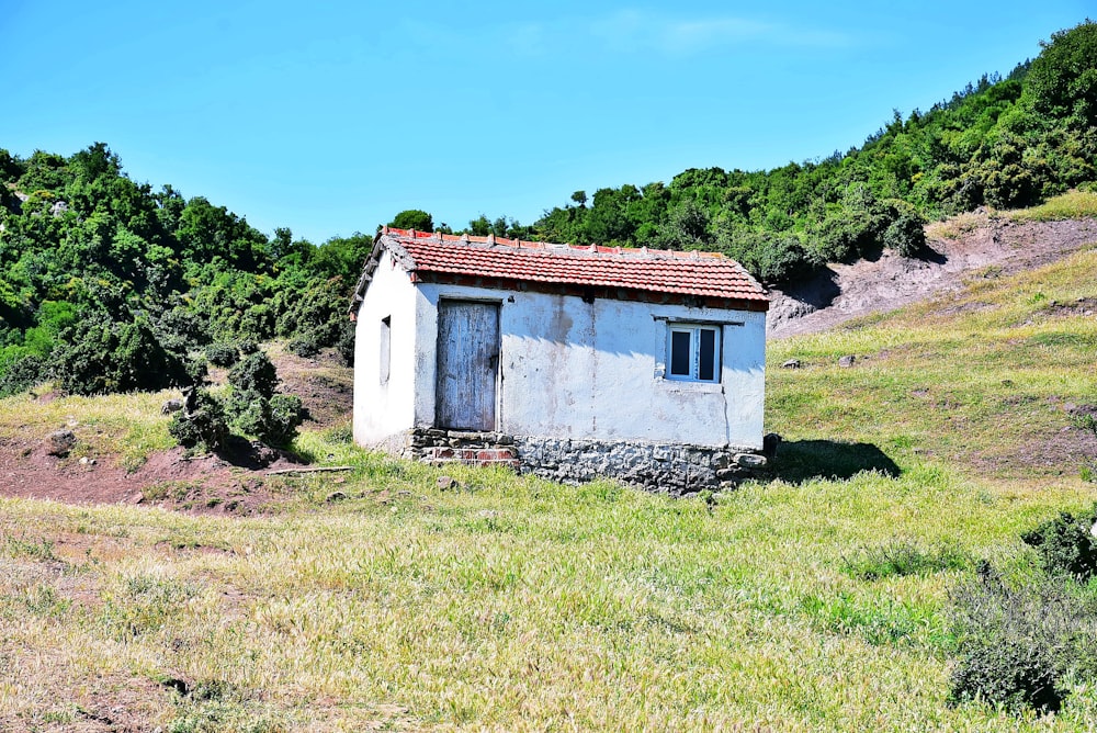 昼間の青空の下の緑の草原に白と茶色のコンクリートの家