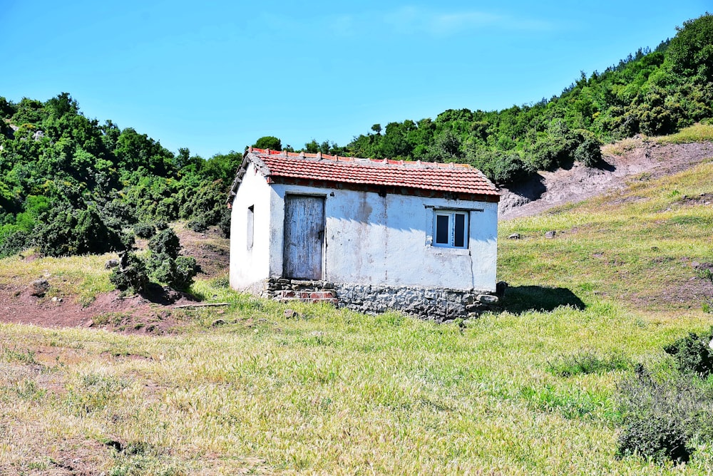 white and brown concrete house on green grass field under blue sky during daytime