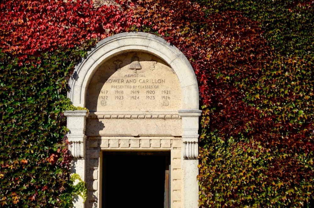 red flowers on white concrete arch