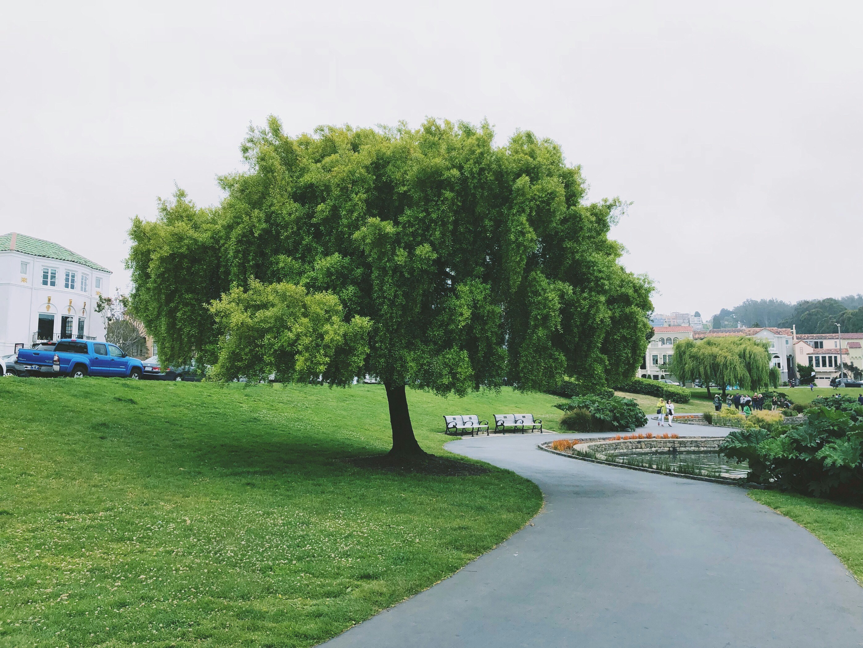 Marjorie Mae Park