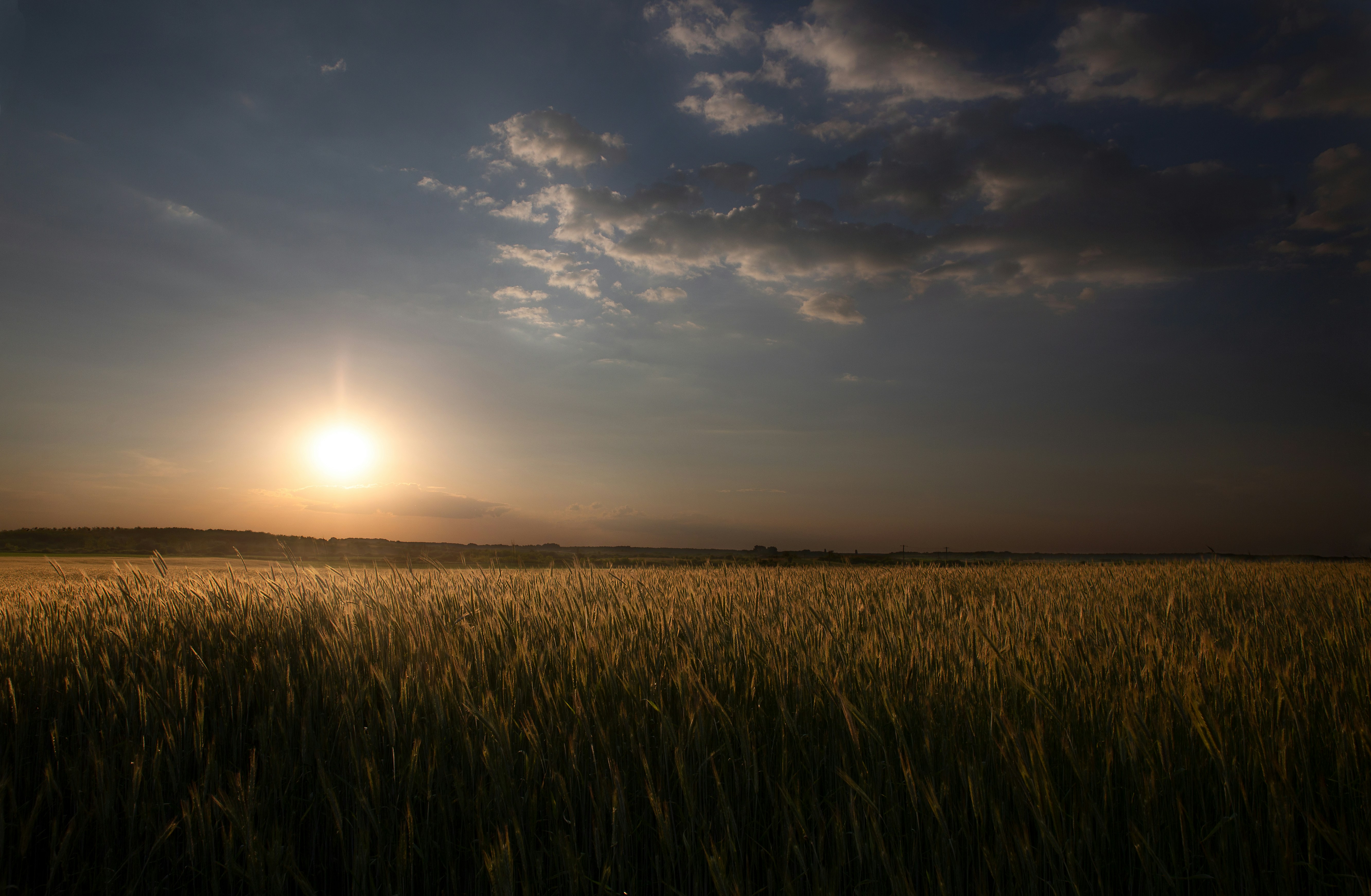 Photo by sylvester_s