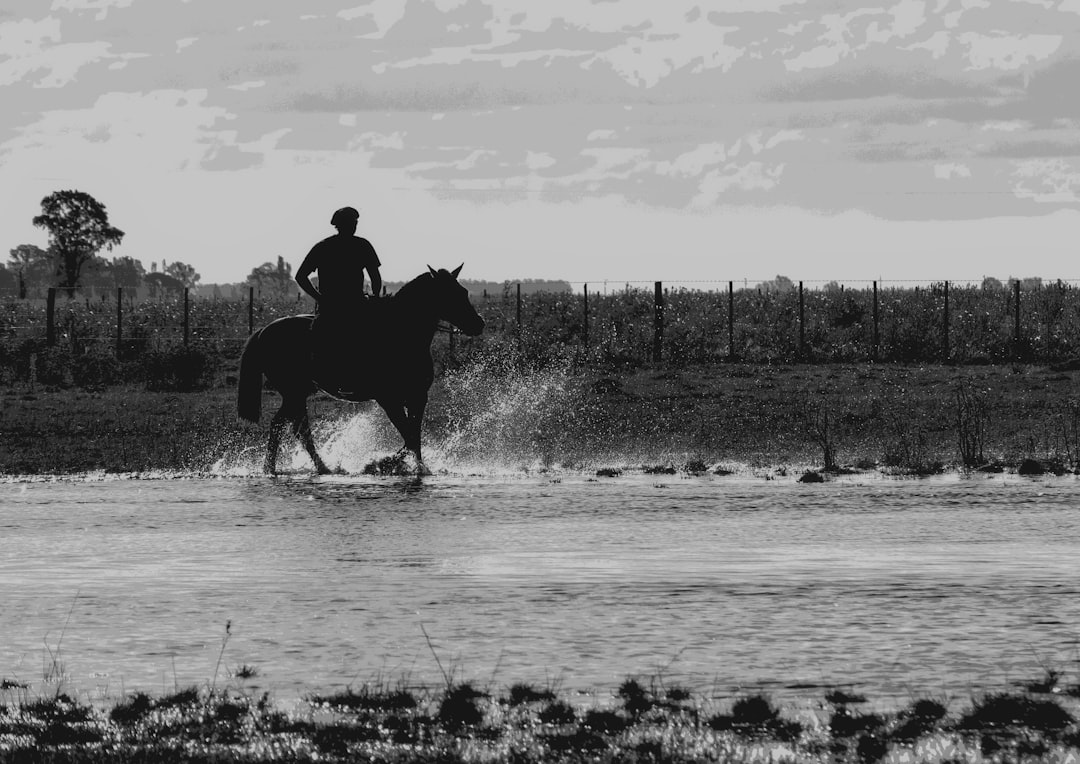 man riding horse on water