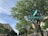 A street intersection with clear green street signs reading 'Frisco Square 6100 BLVD' and 'Elmeman 8800 BLVD' is visible. Tall, leafy trees line the sidewalk, providing shade over the street and the adjacent buildings. The architecture of the buildings is modern, with multiple stories and large windows. The sky is clear with a hint of clouds.