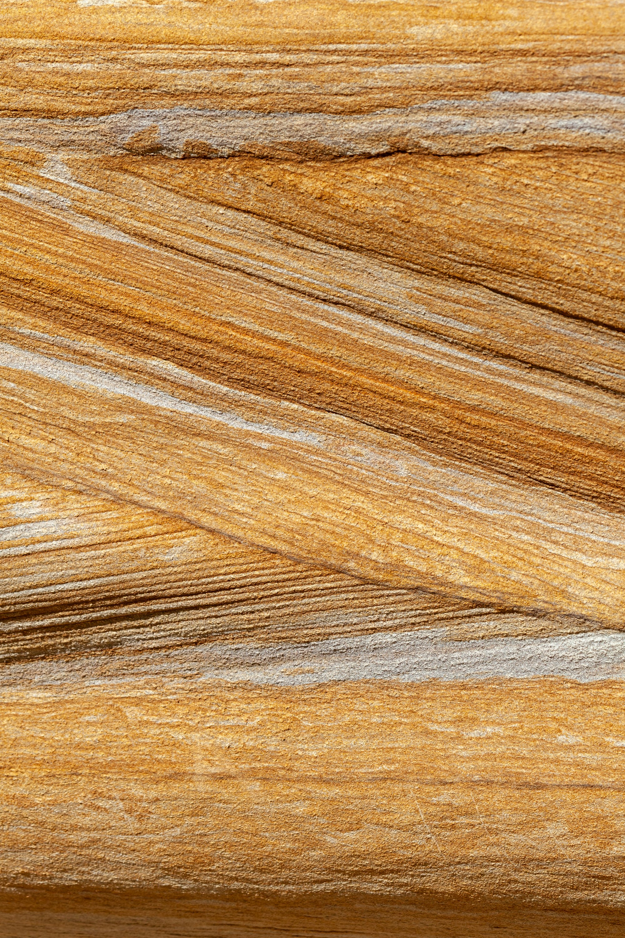 photo-1623621454699-1952d189bd86?ixid=M3wxMjA3fDB8MXxzZWFyY2h8MTB8fHdvb2QlMjBzaGVhcnN8ZW58MHx8fHwxNzYyOTM1OTE0fDA\u0026ixlib=rb-4.1.0