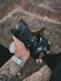 person holding black dslr camera