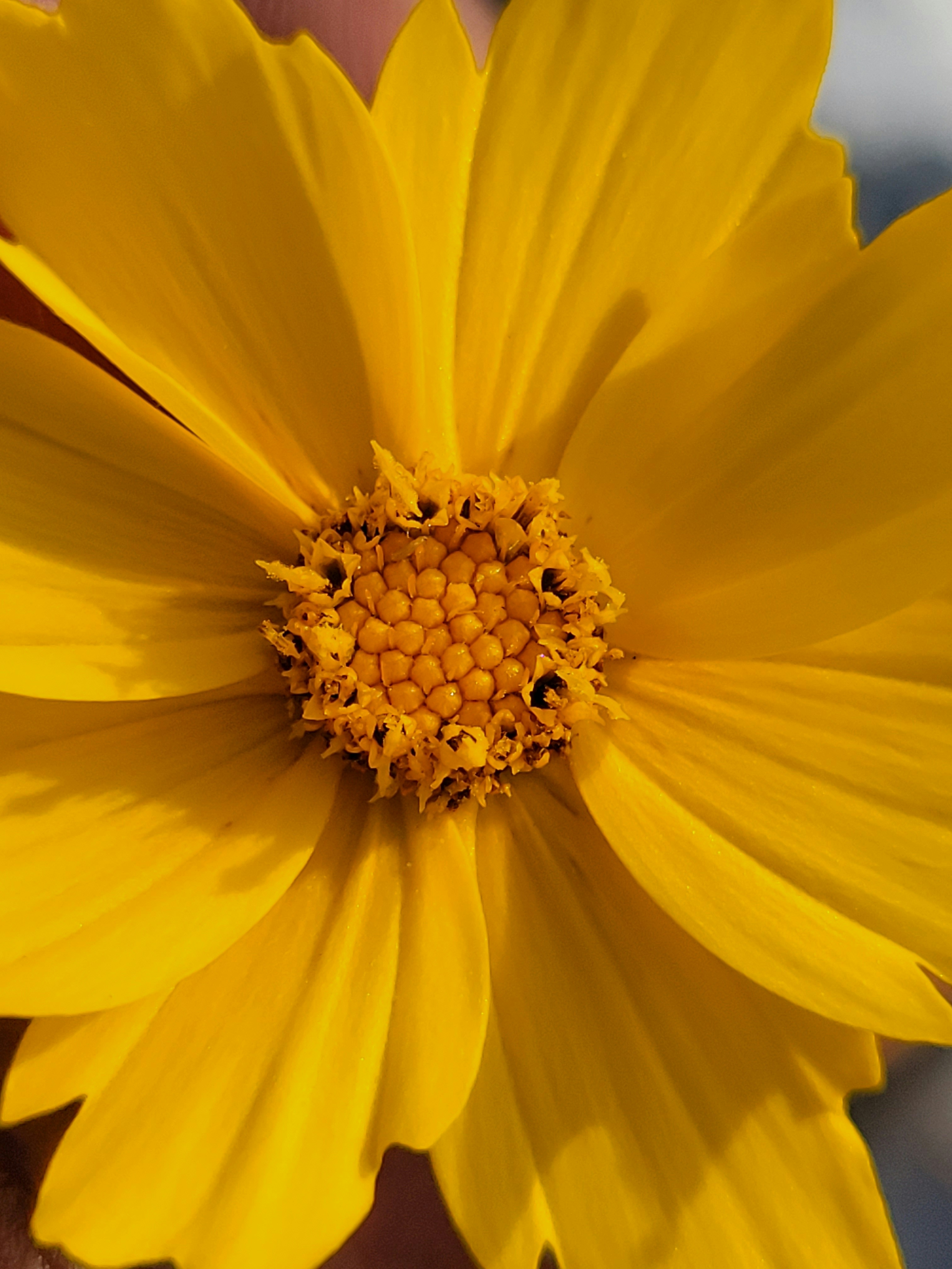 Photo by unknownman777