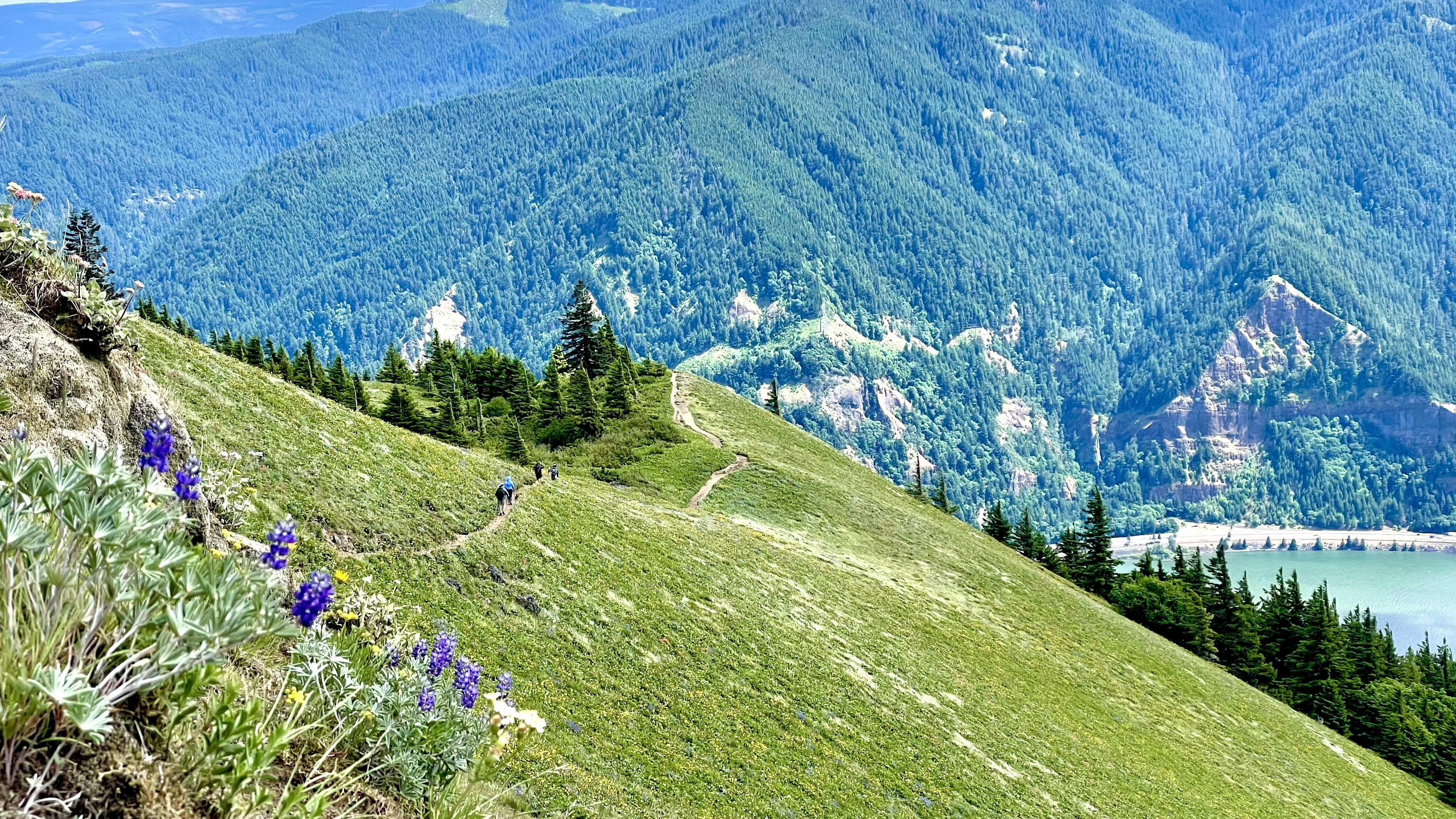 Stevenson, Washington