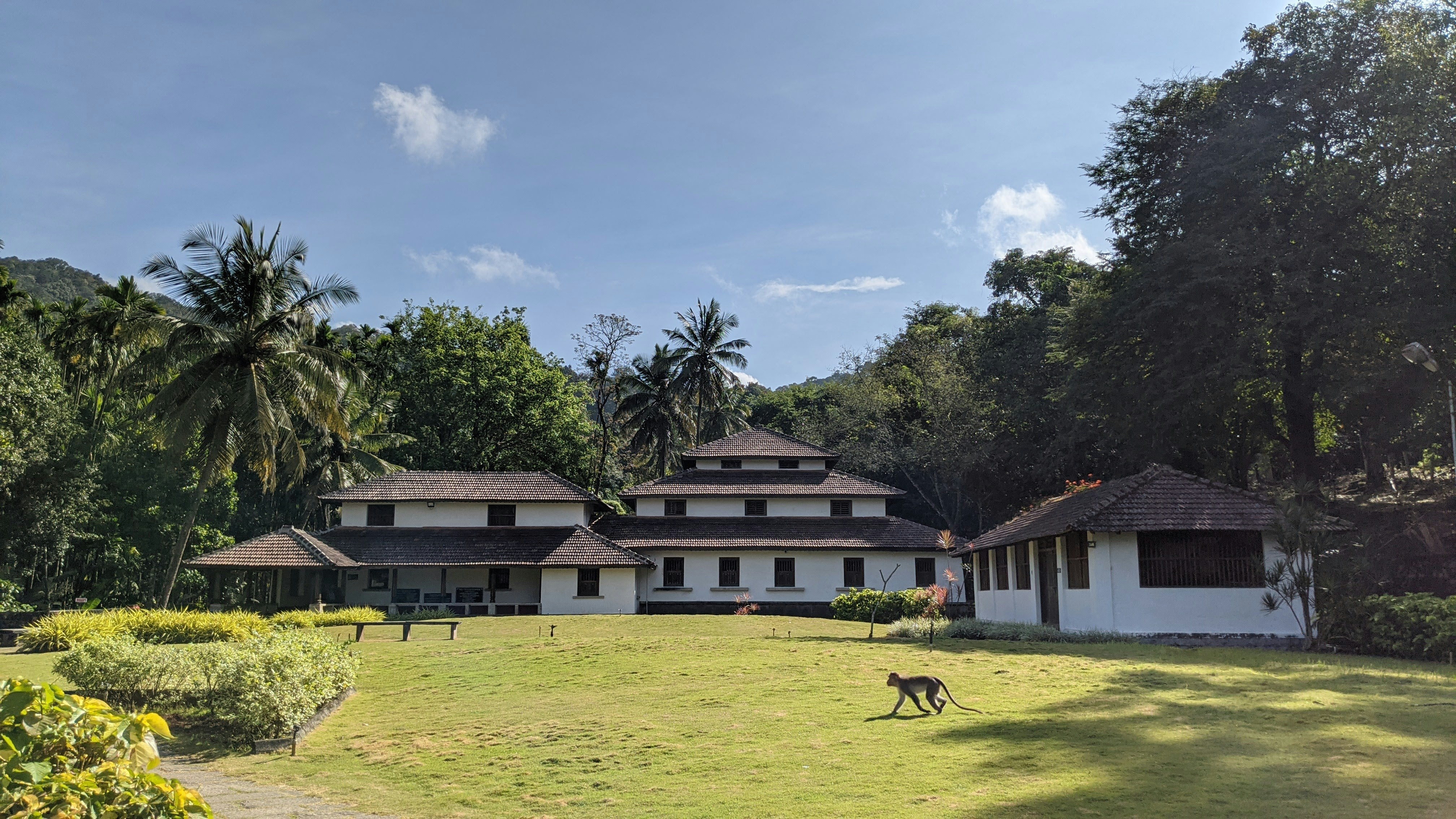 black horse on green grass field near brown house during daytime