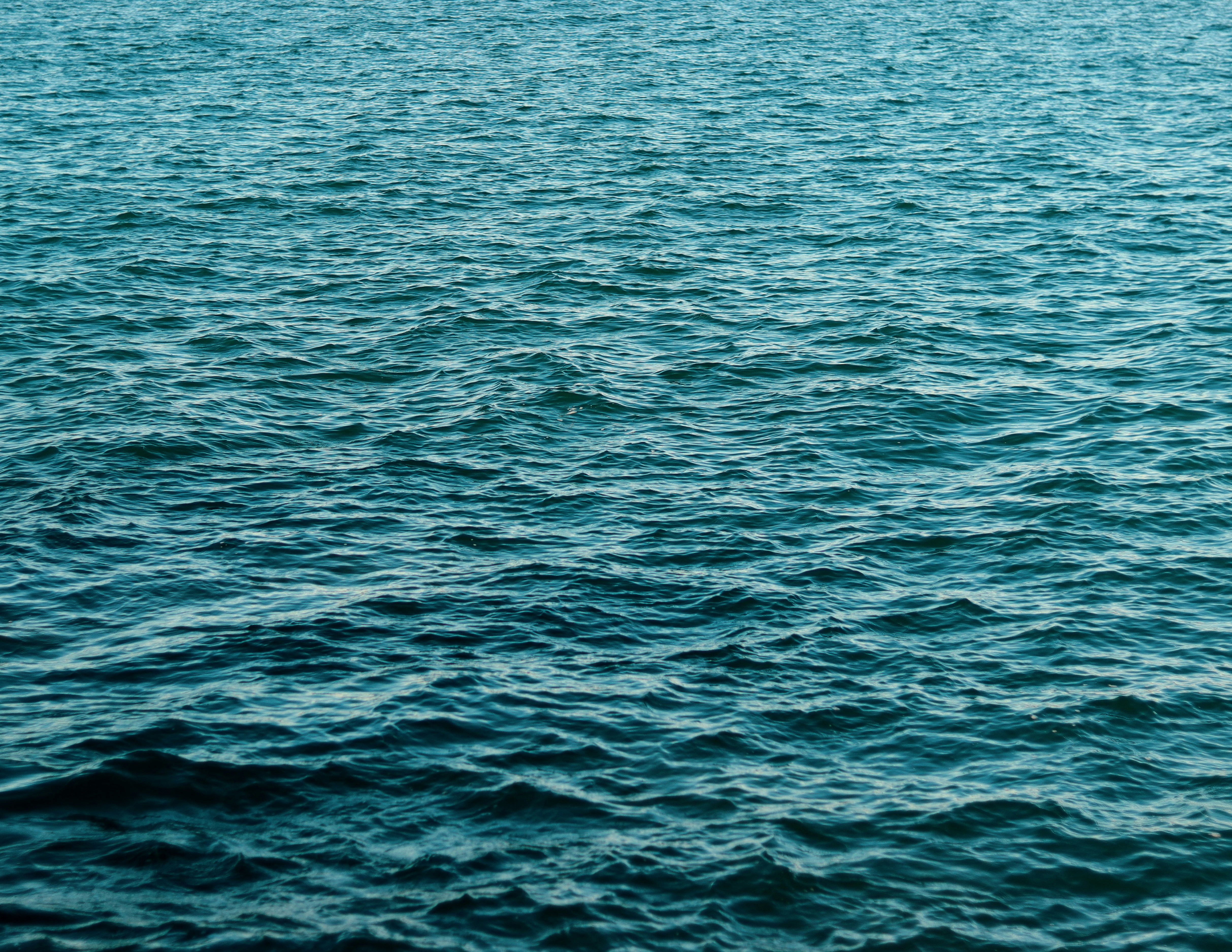 Photo by gabrielfotos