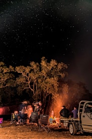 A nighttime scene with several people gathered around a campfire in a wooded area. The sky is filled with stars, and the glow from the fire illuminates the nearby trees and the group of people sitting on chairs. A vehicle is parked close by, partially visible on the right.