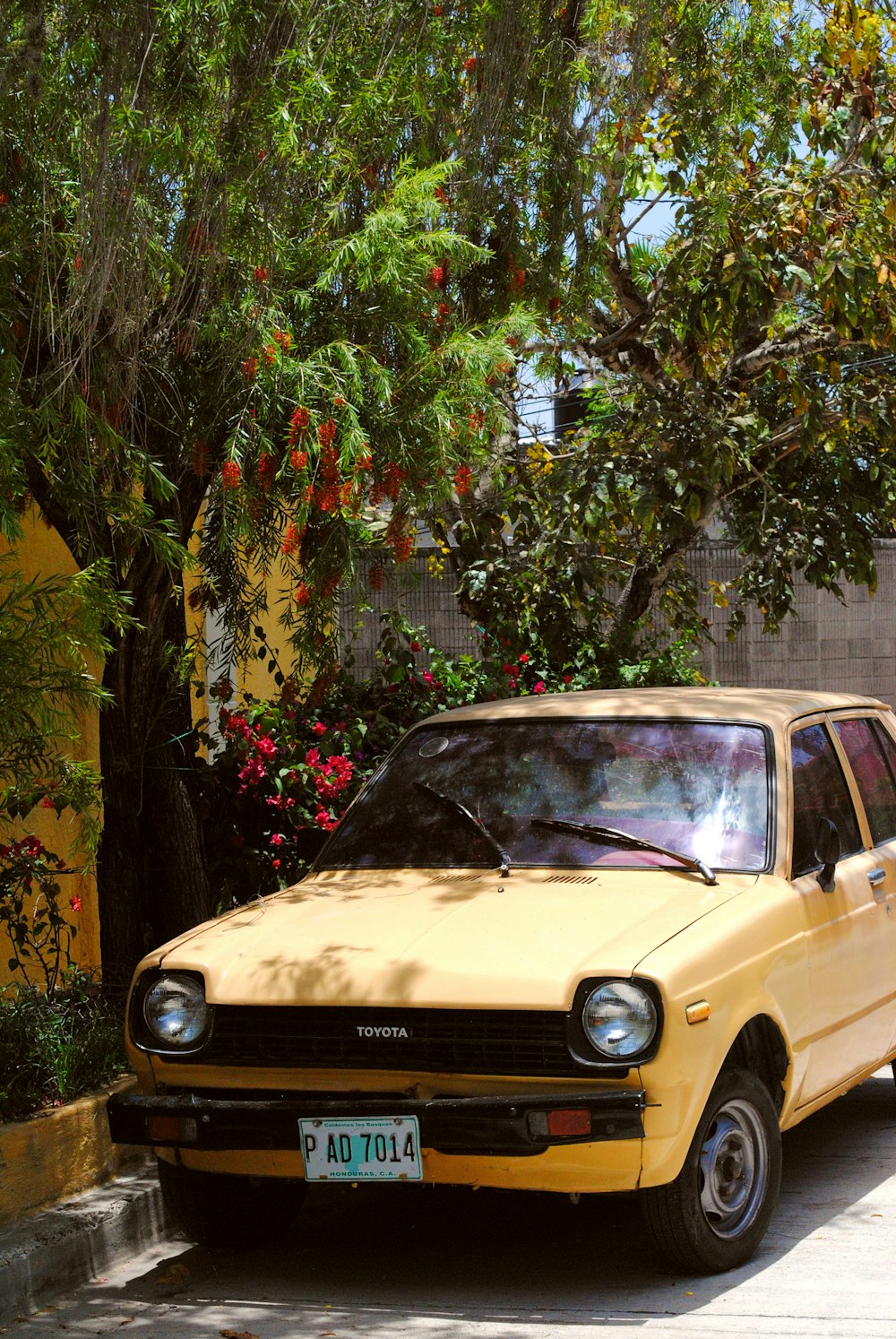 Auto gialla parcheggiata accanto all'albero verde durante il giorno
