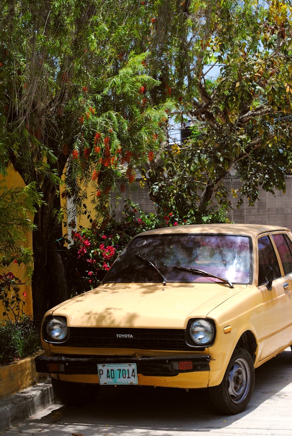 Taste of Tegucigalpa: Exploring Local Dishes & Authentic Recipes