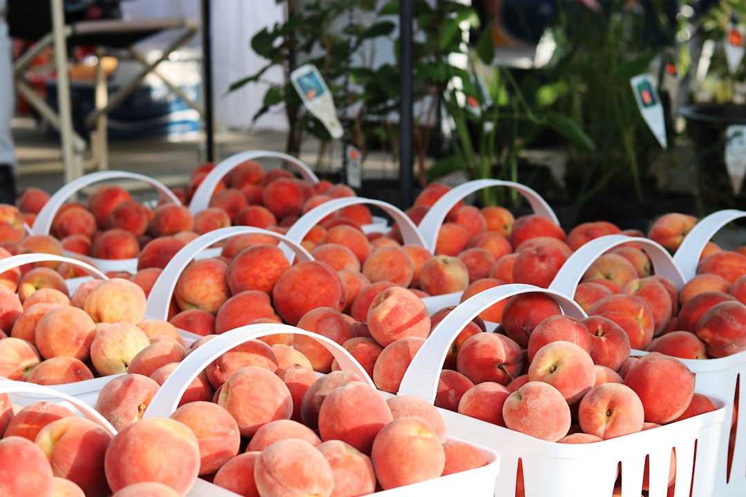 orange fruits on white plastic container