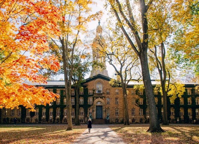 York St John University