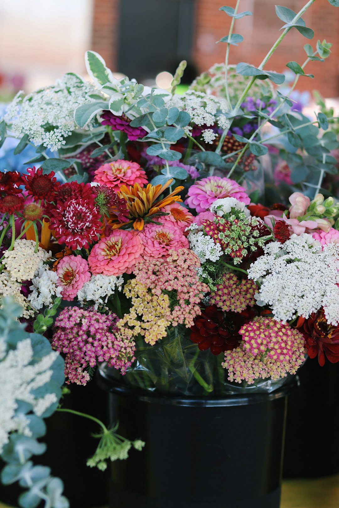 pink and white flowers in black pot