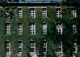 white and black concrete building