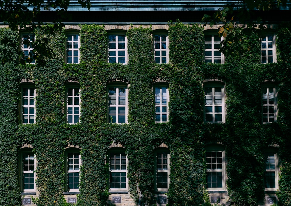 Gebäude aus weißem und schwarzem Beton