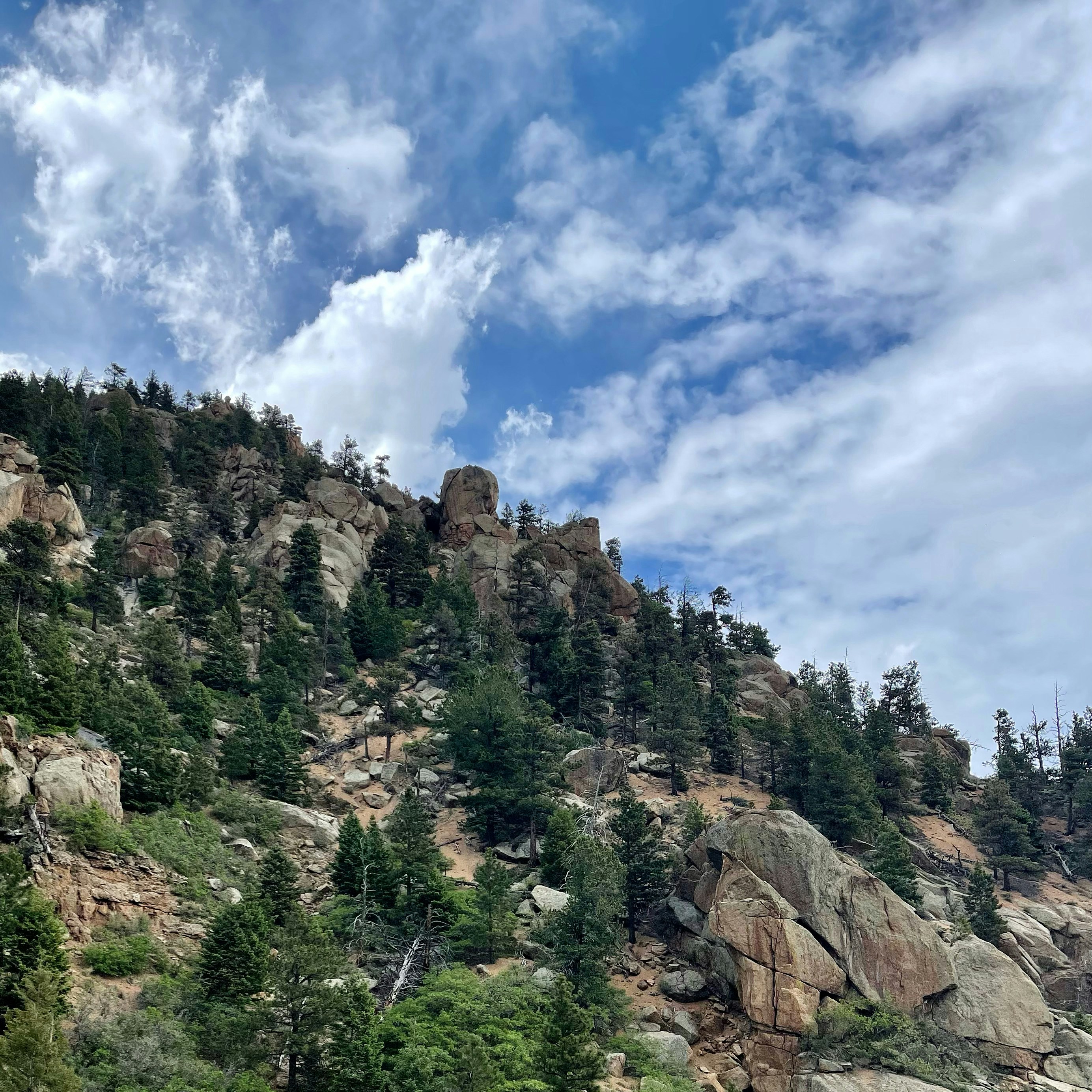 Photo by laitonbarbo