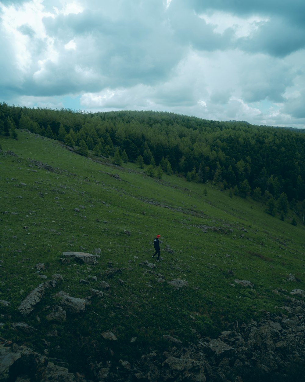 person walking on green grass field during daytime