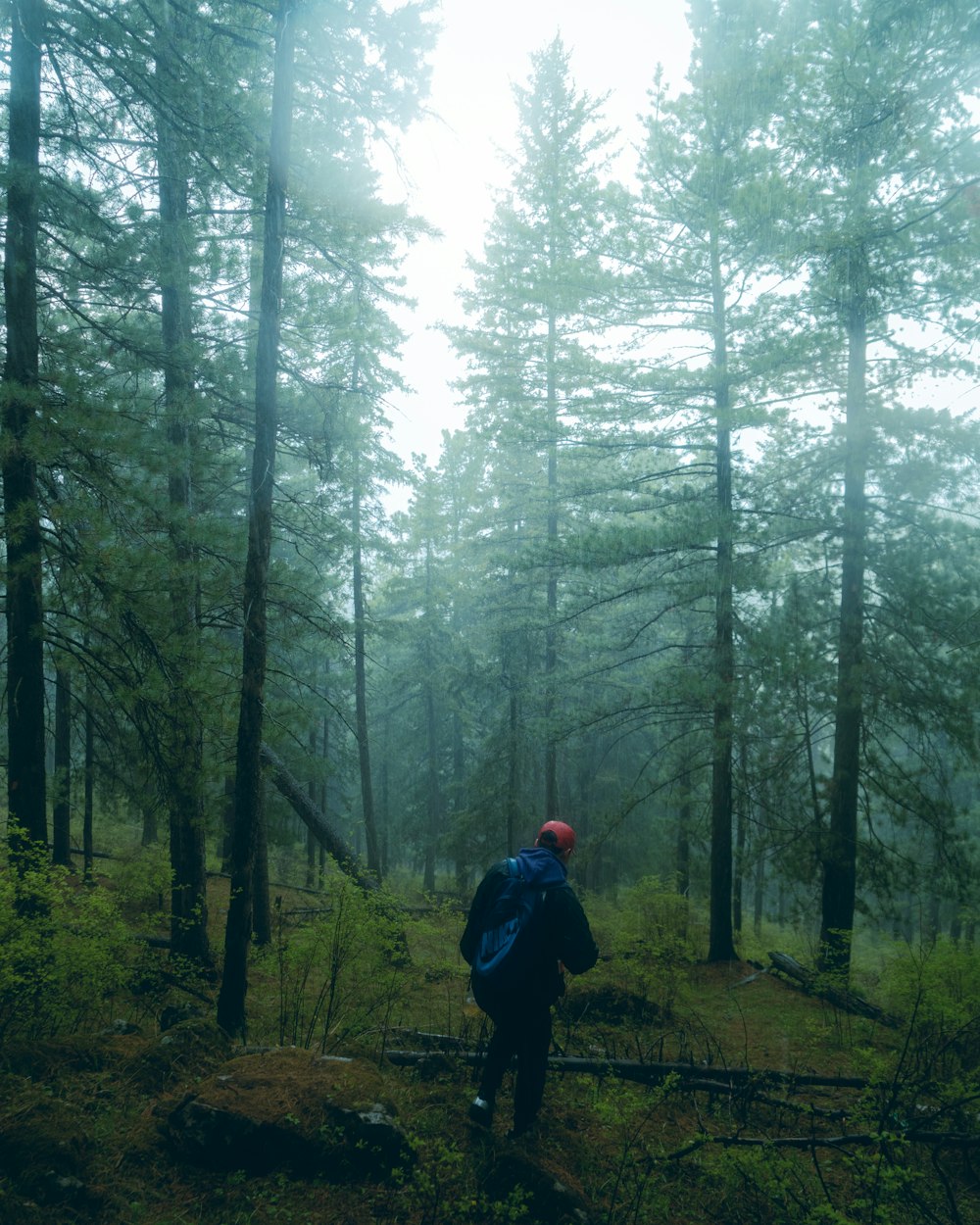 man in black jacket walking on forest during daytime