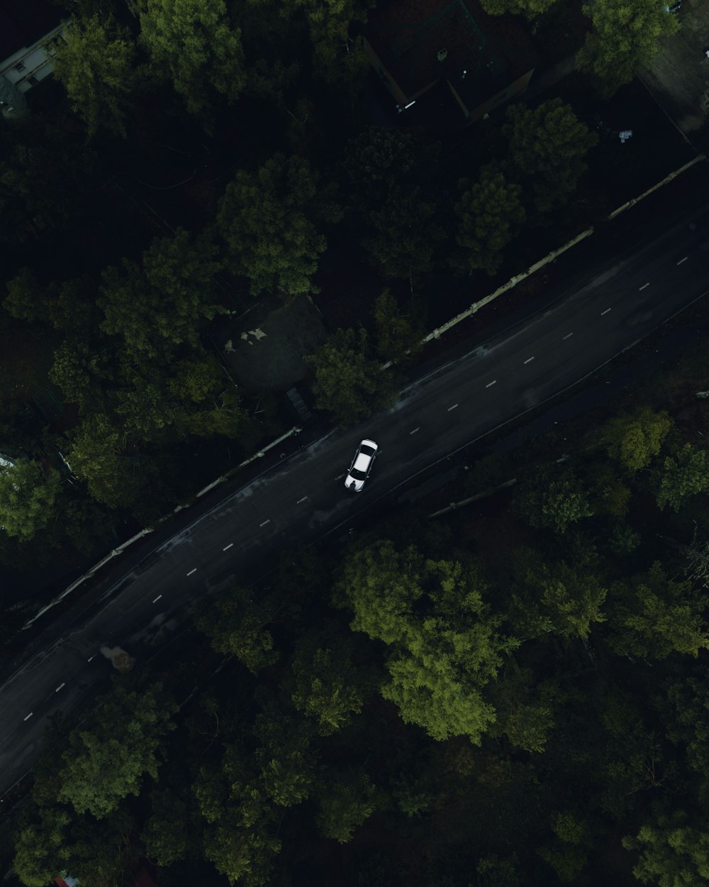 aerial view of road in the middle of green trees