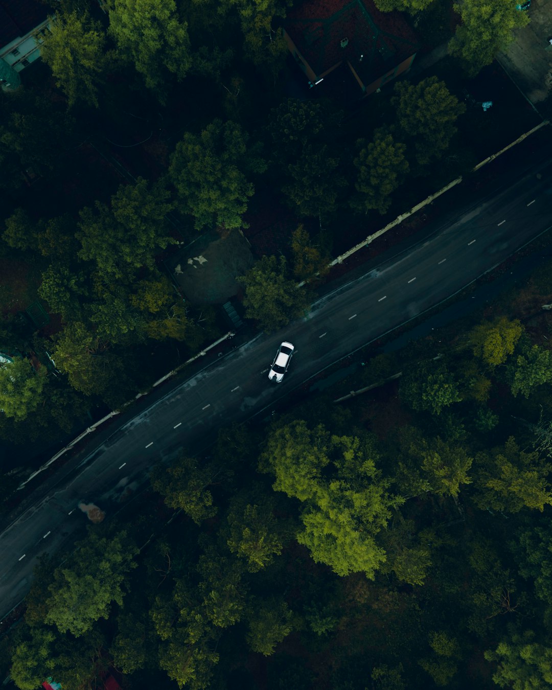 aerial view of road in the middle of green trees