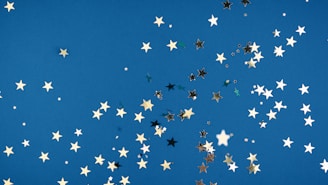 flock of birds flying under blue sky during daytime