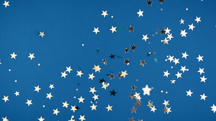flock of birds flying under blue sky during daytime