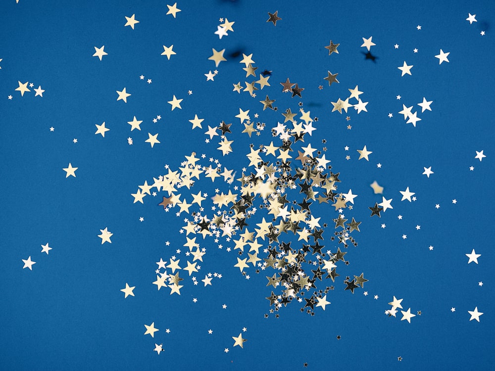 papillons blancs et noirs sur ciel bleu