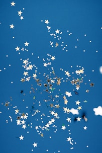 flock of birds flying under blue sky during daytime