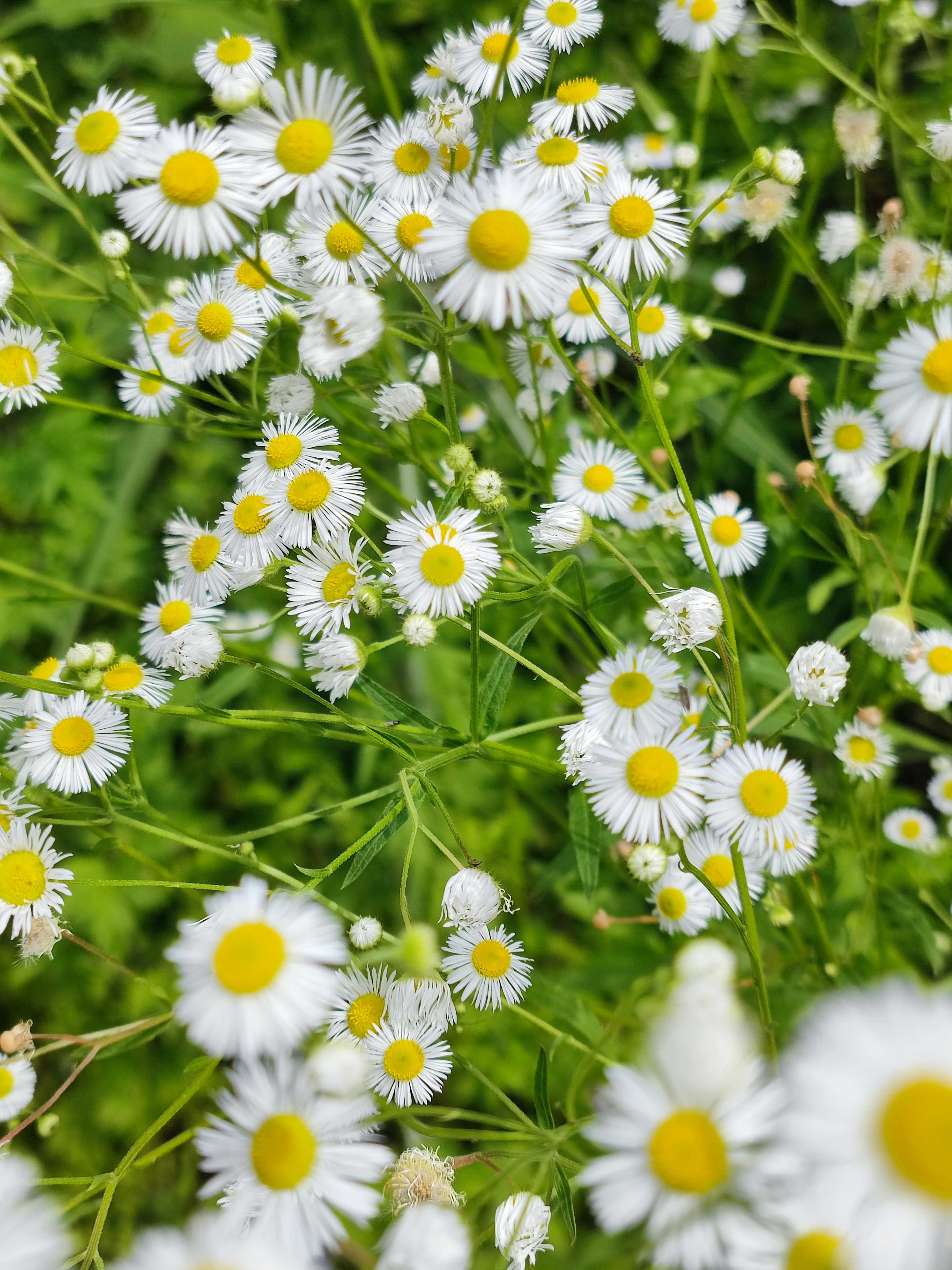 Photo by liuwen5656554