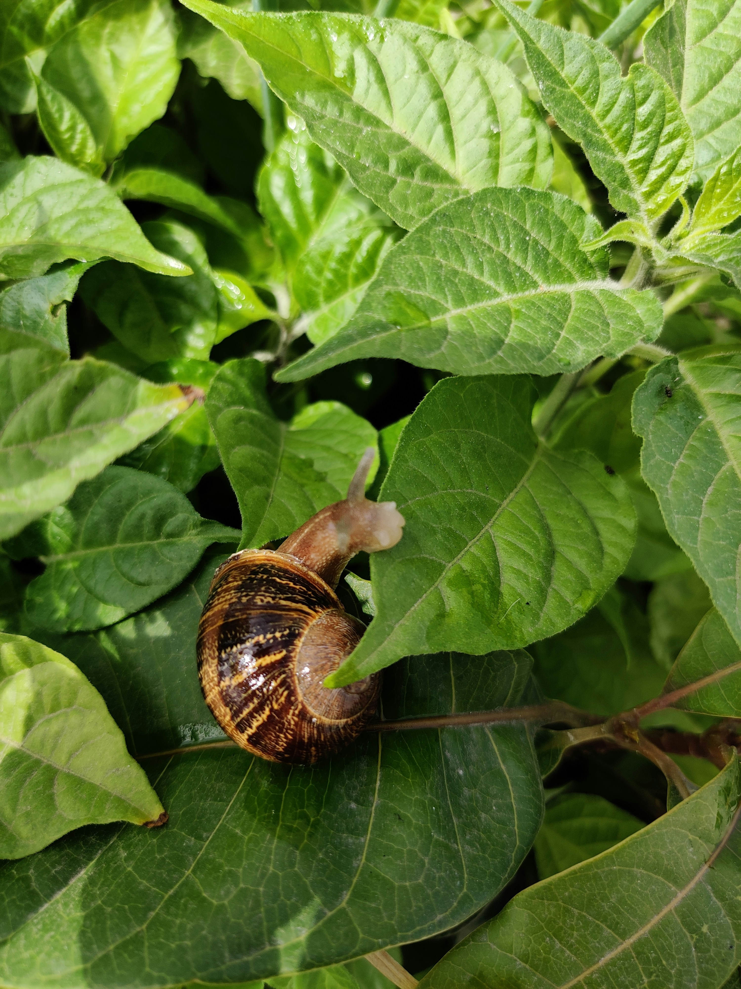 Photo by tatianaaneyraa