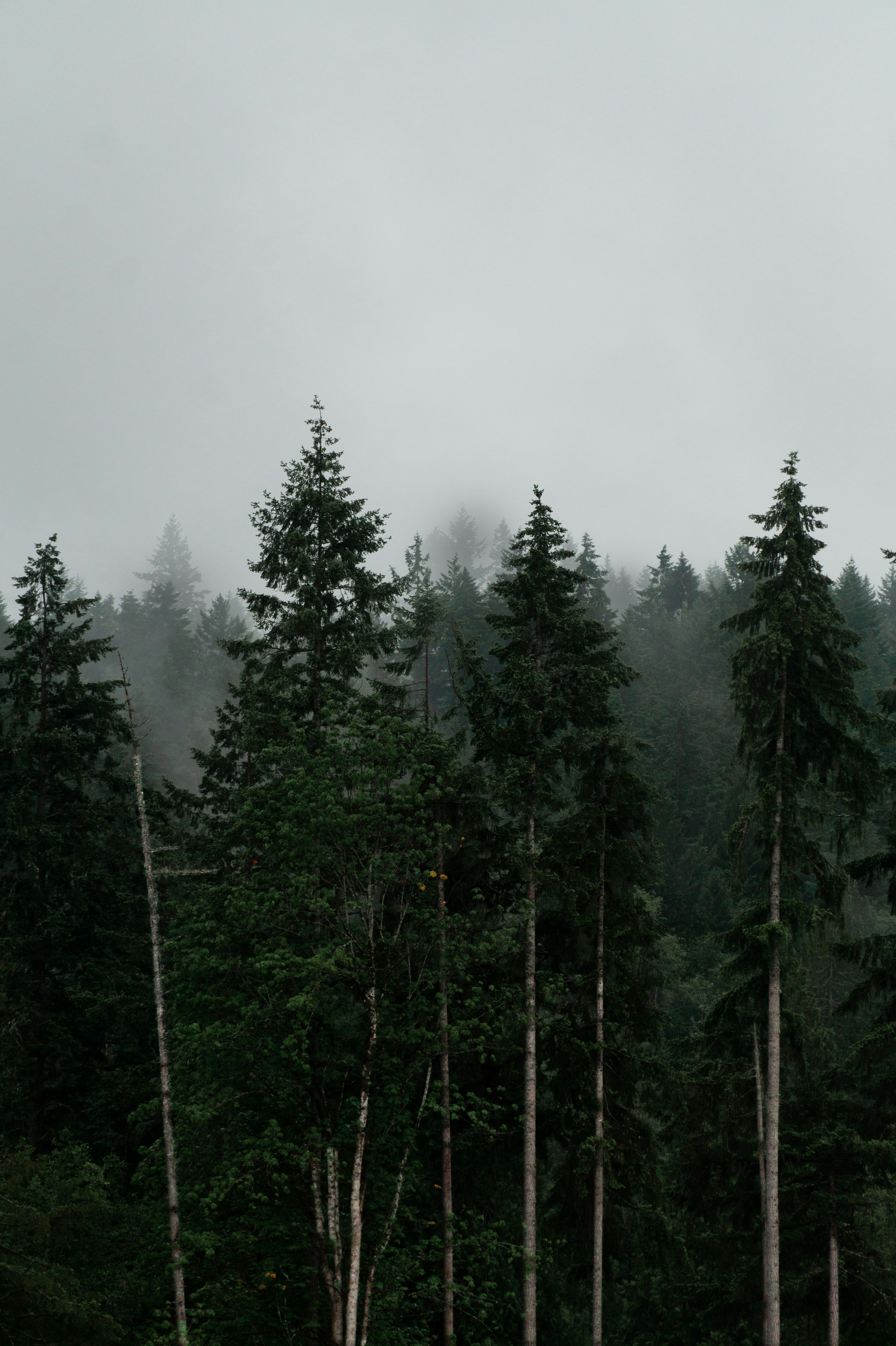 Photo by jeffersonsees