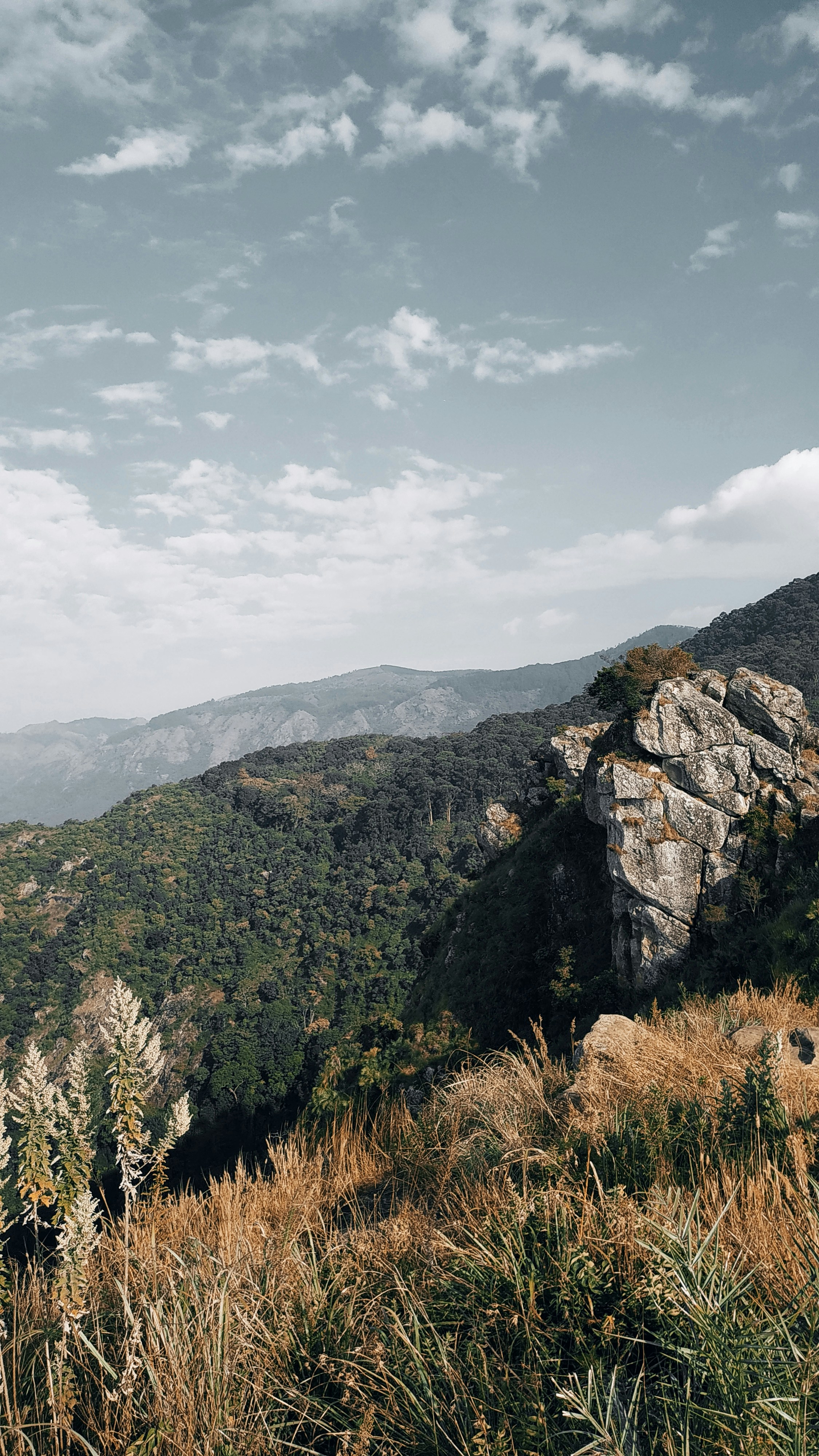 Photo by ashok_bravo