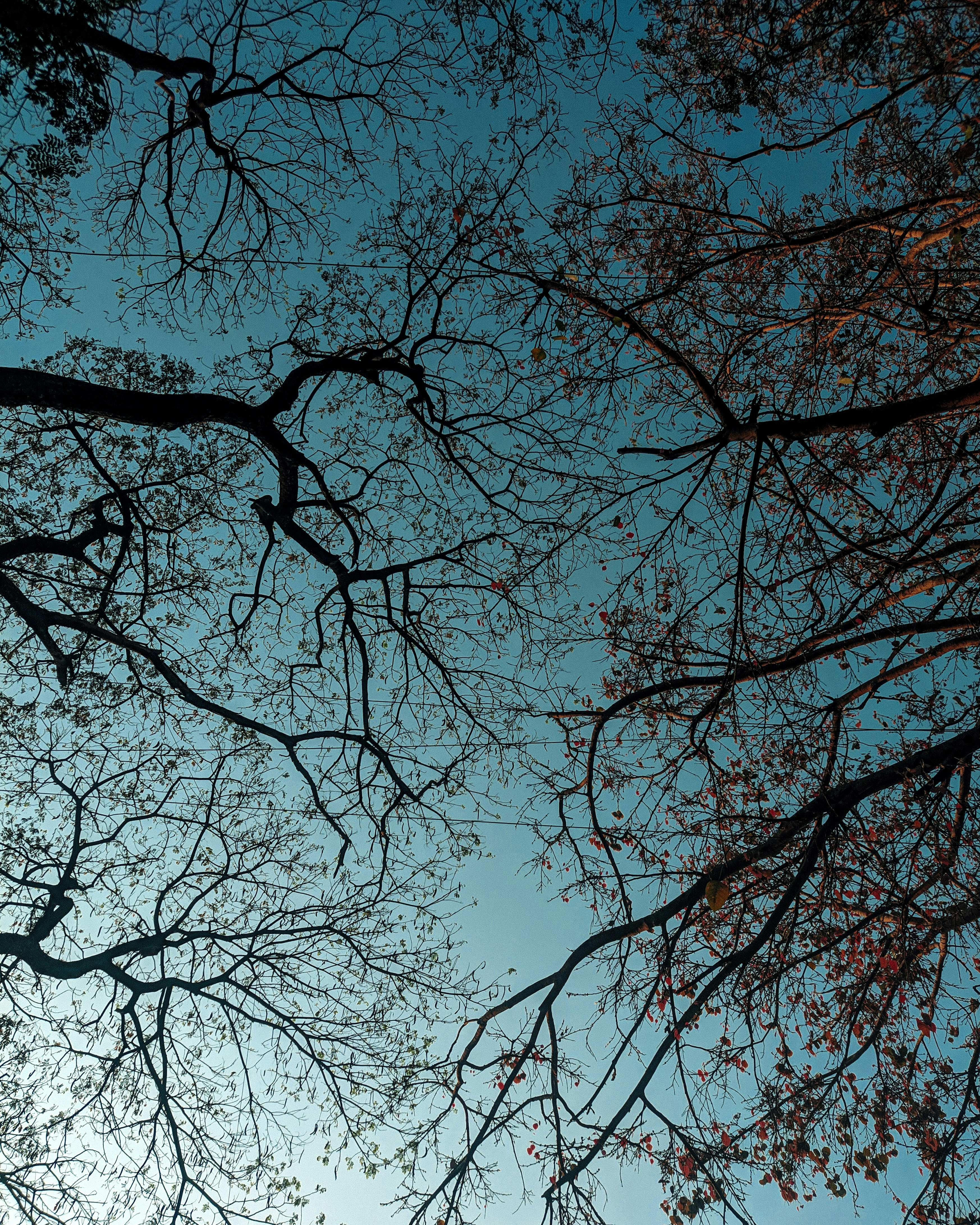 Photo by ashok_bravo