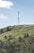 A tall communication tower stands prominently on a green hillside under a clear blue sky. The hill is covered with scattered trees and shrubs, and a small white vehicle is visible on a winding road. A large red and white sign is partially visible on the left side of the hill.
