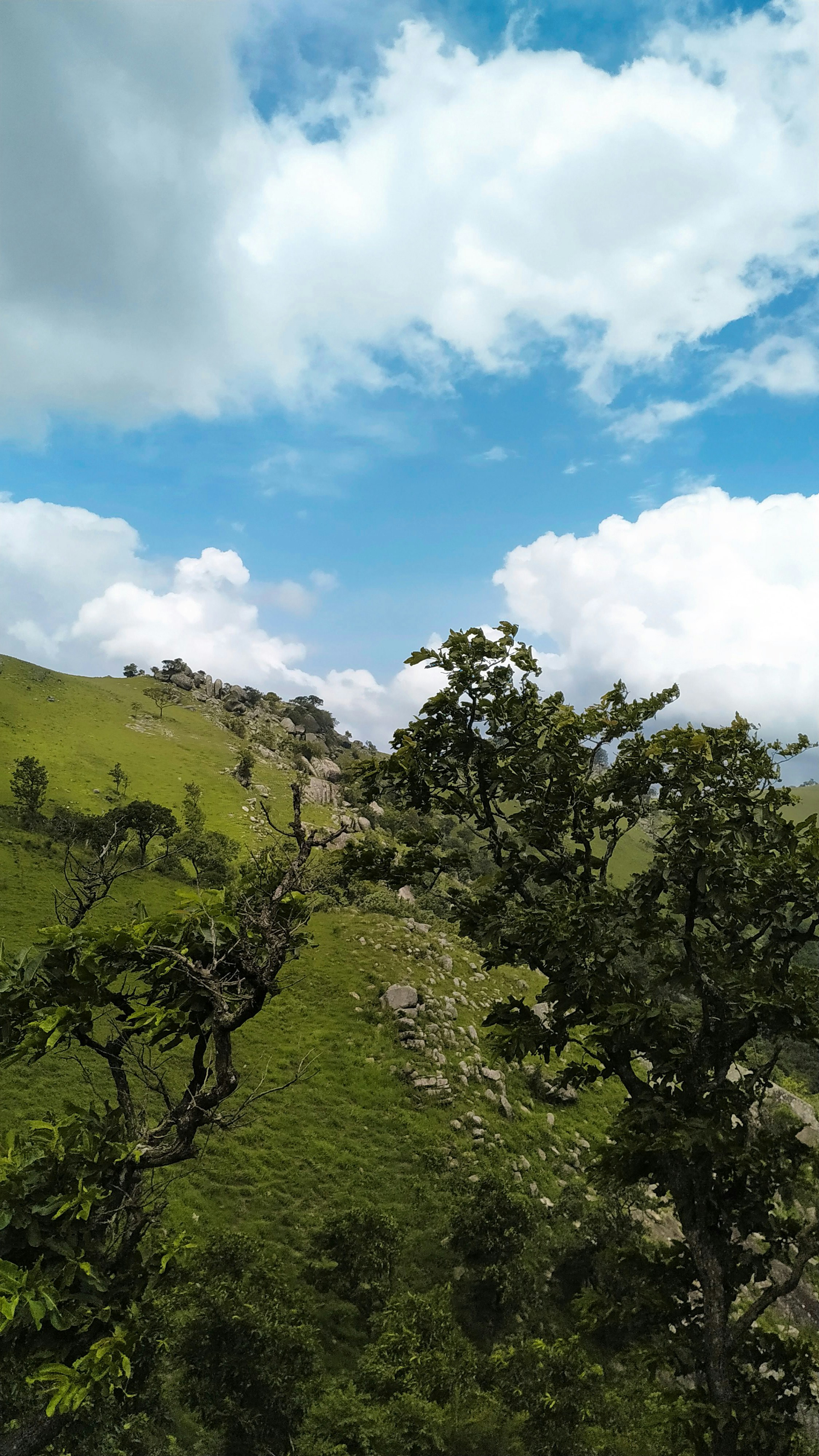 Photo by ashok_bravo