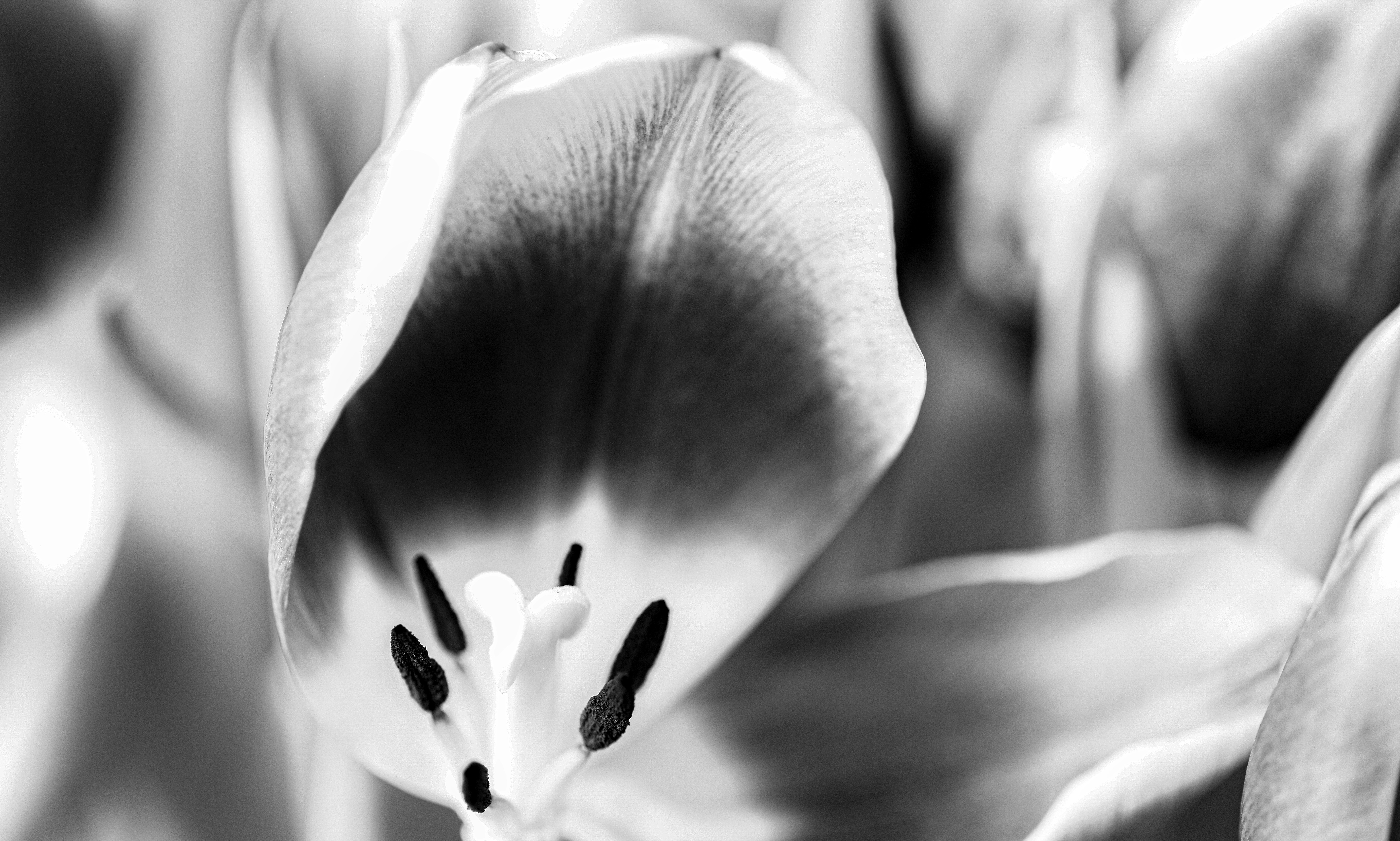 Photo by wilhelmgunkel